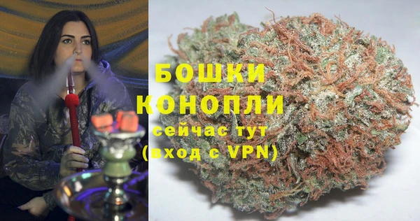 a pvp Шали