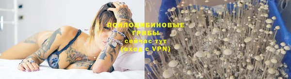 ешки Шарыпово
