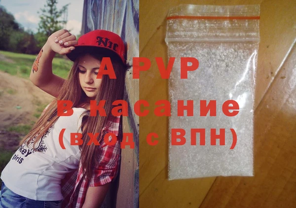 a pvp Шали