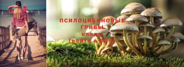 прущая мука Шадринск
